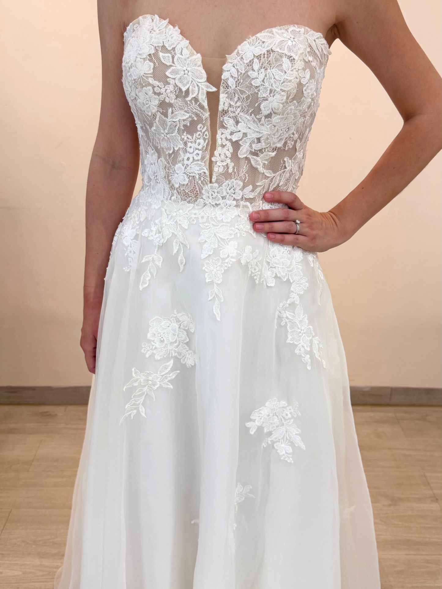 C273 Camelia