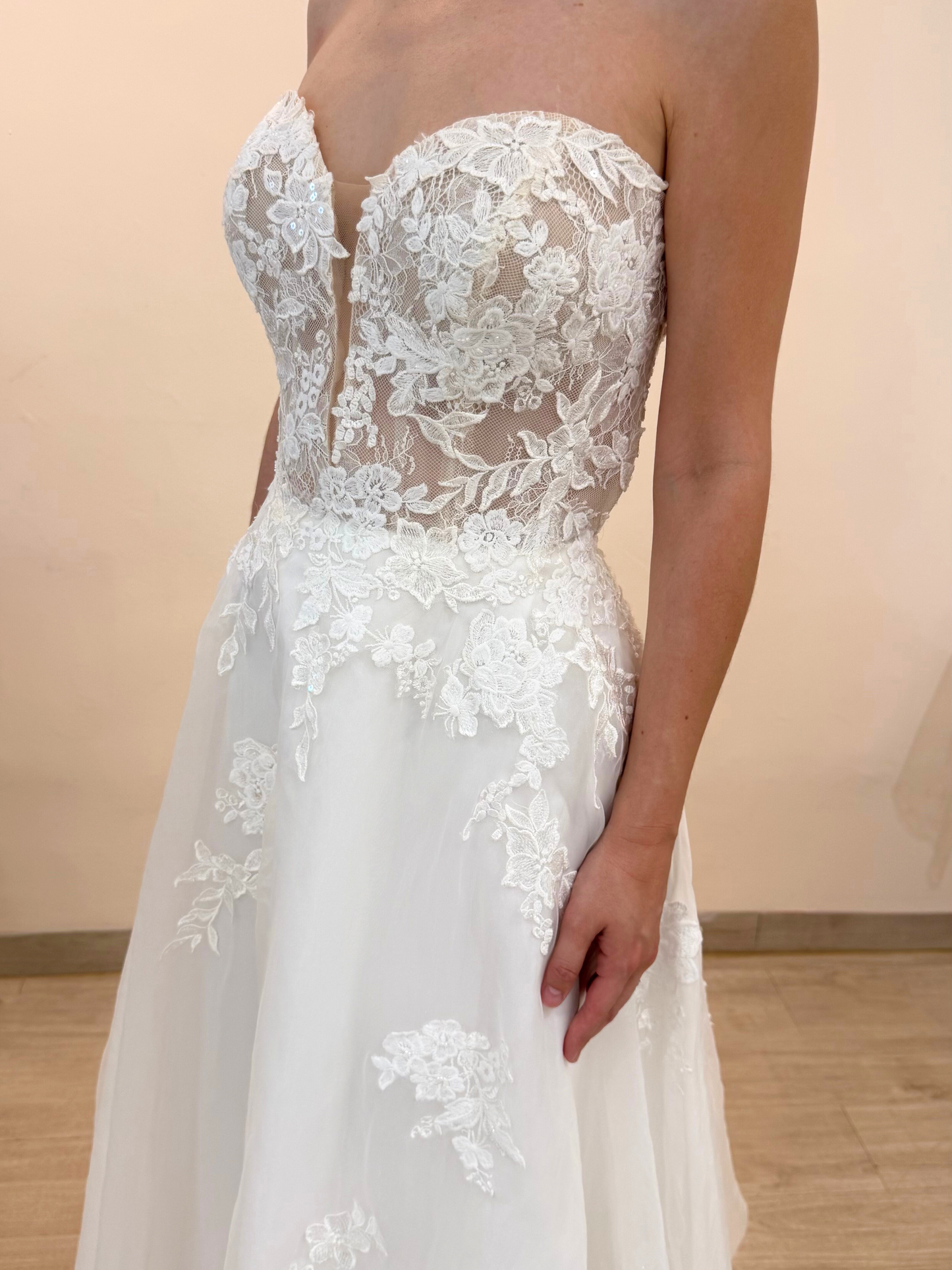 C273 Camelia