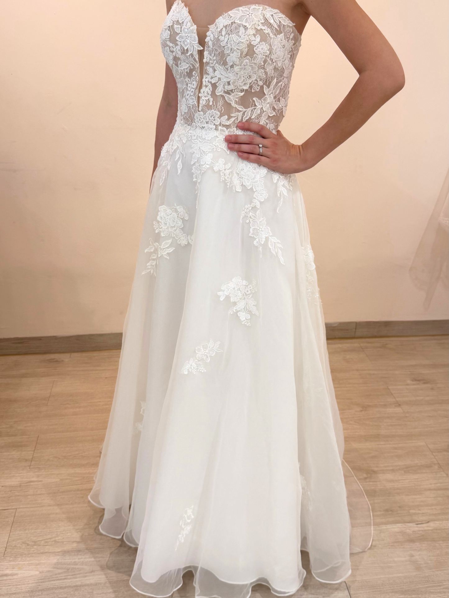 C273 Camelia