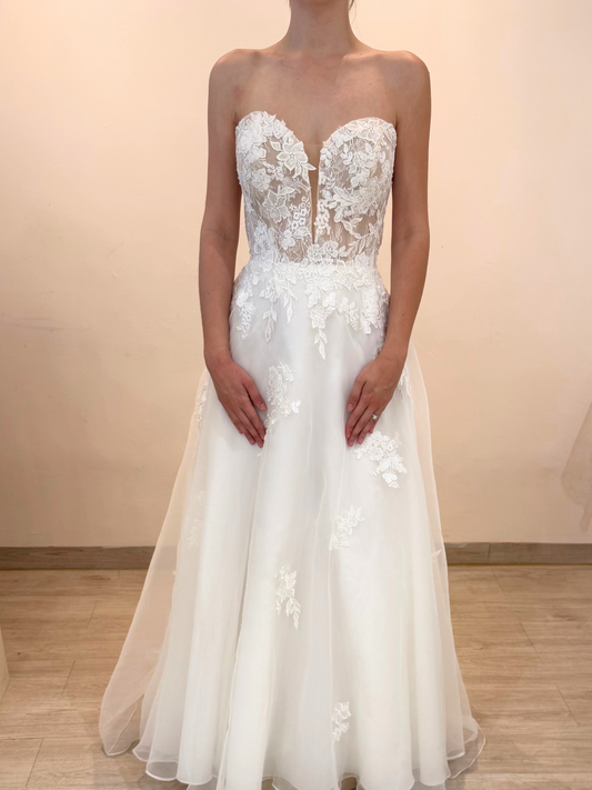 C273 Camelia